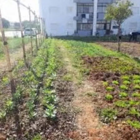 Maison d'hôtes Joe's House Fátima