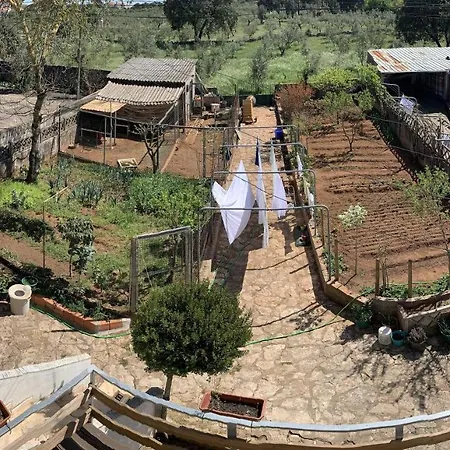 Maison d'hôtes Joe's House