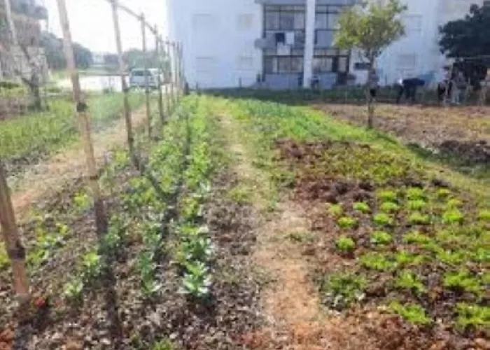 ゲストハウス Joe's House ファティマ