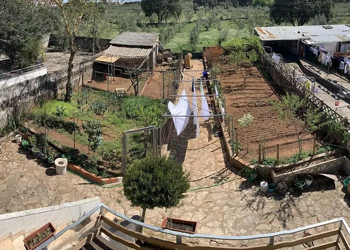 Πανσιόν Joe's House